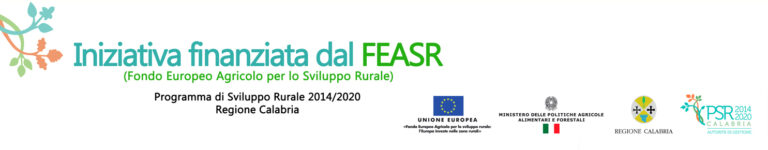 Banner psr