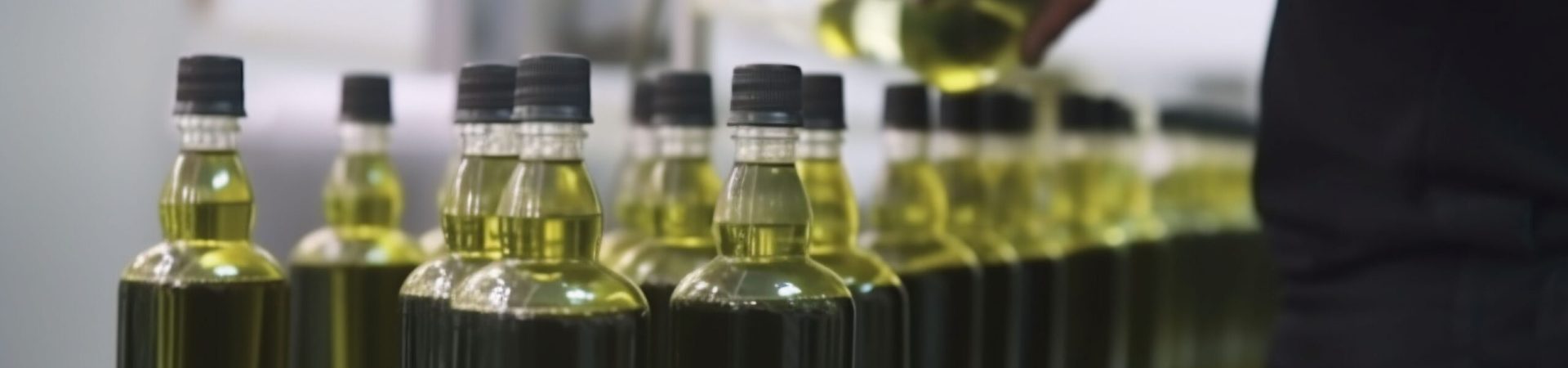 factory mill agriculture olive production plant industry oil liquid bottle. Generative AI. agriculture oil industrial olive sunflower manufacturing machinery mill industry bottle line factory plant many liquid glass automation organic processing production. Generative AI.